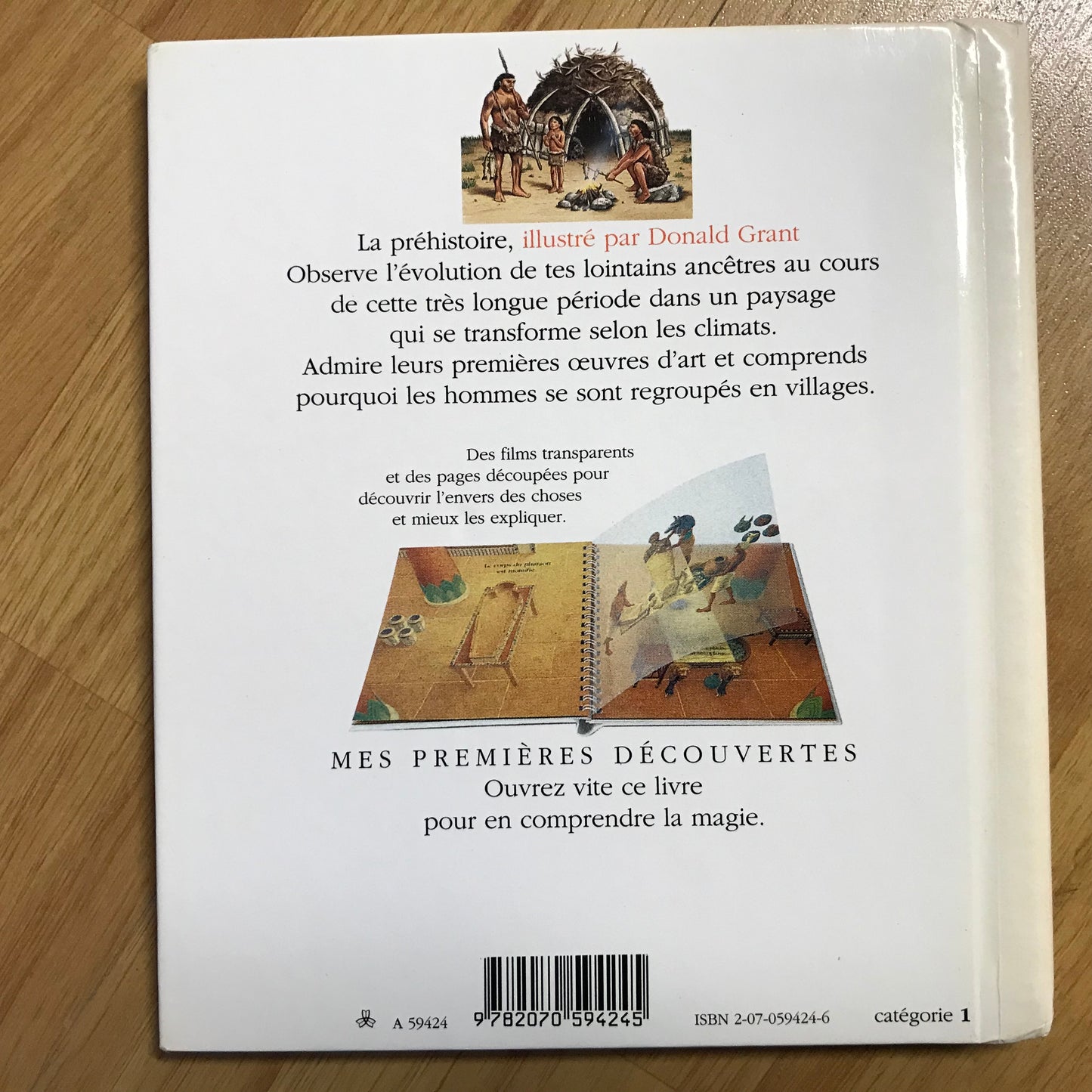 La préhistoire