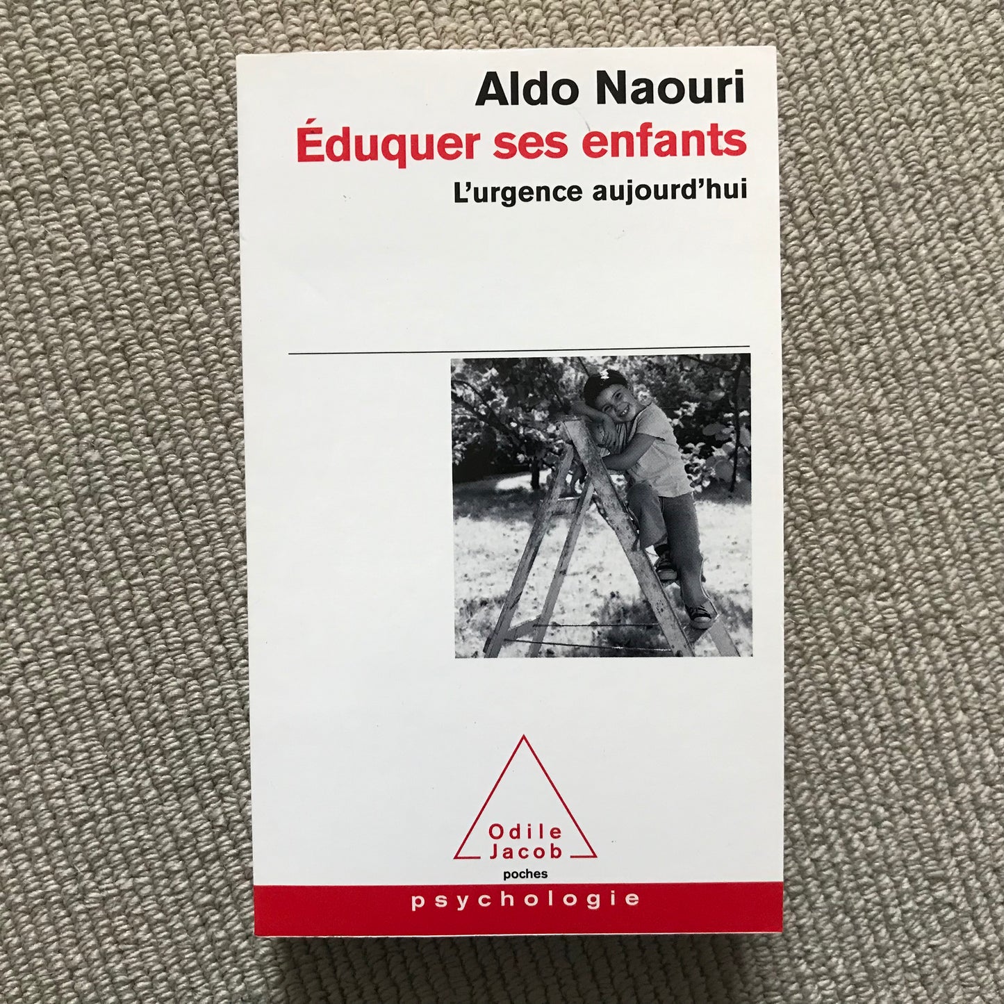Éduquer ses enfants, l’urgence aujourd’hui - A. Naouri