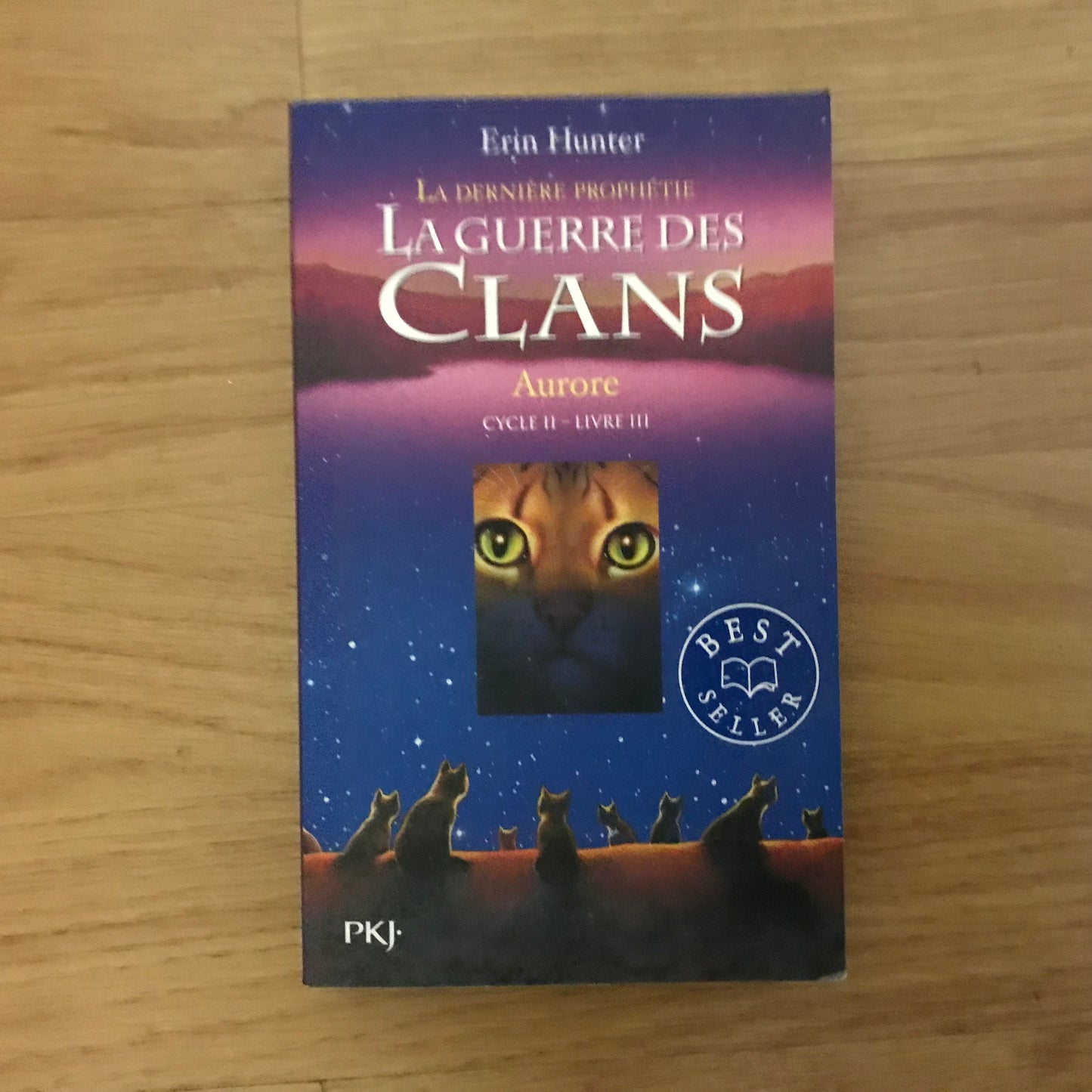 La guerre des clans Cycle 2 Livre 3, Aurore - Erin Hunter