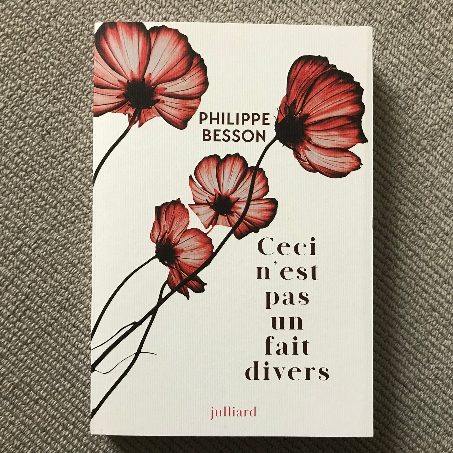 Besson, Philippe - Ceci n’est pas un fait divers