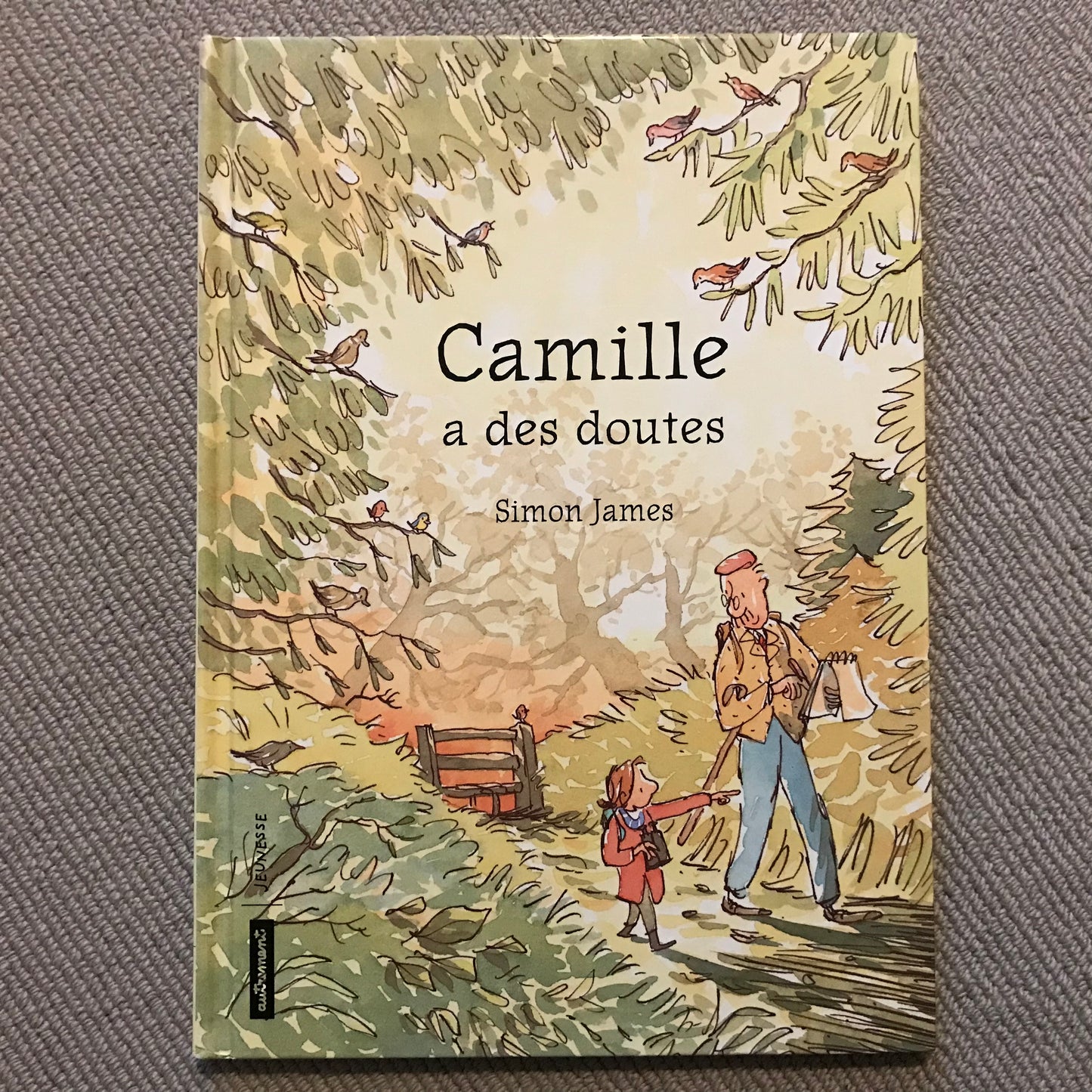 Camille a des doutes - James, Simon
