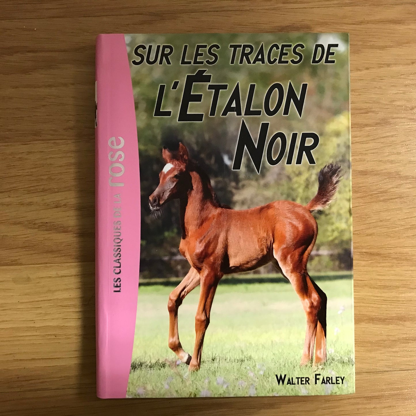 L’étalon noir 7: Sur les traces de l’étalon noir - Walter Farley