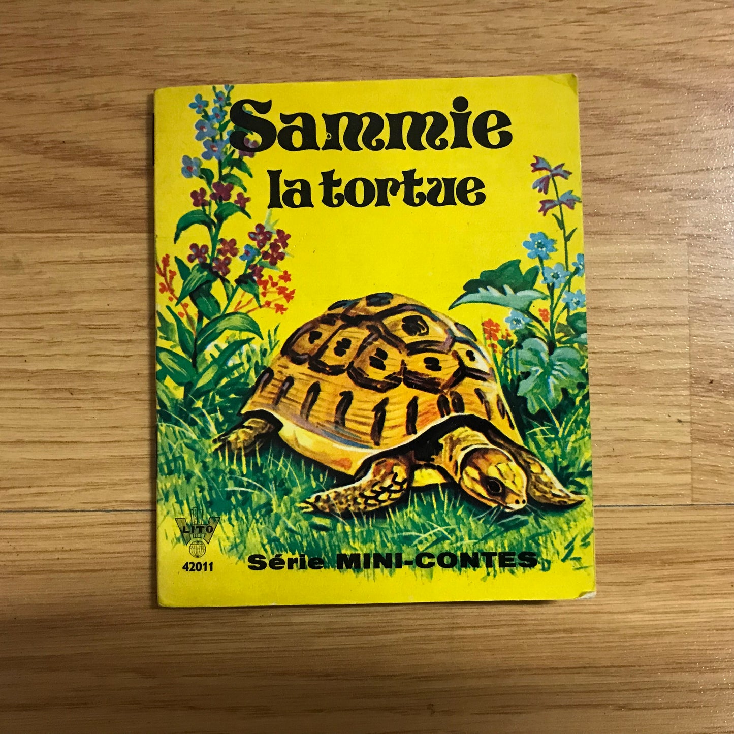 Sammie la tortue