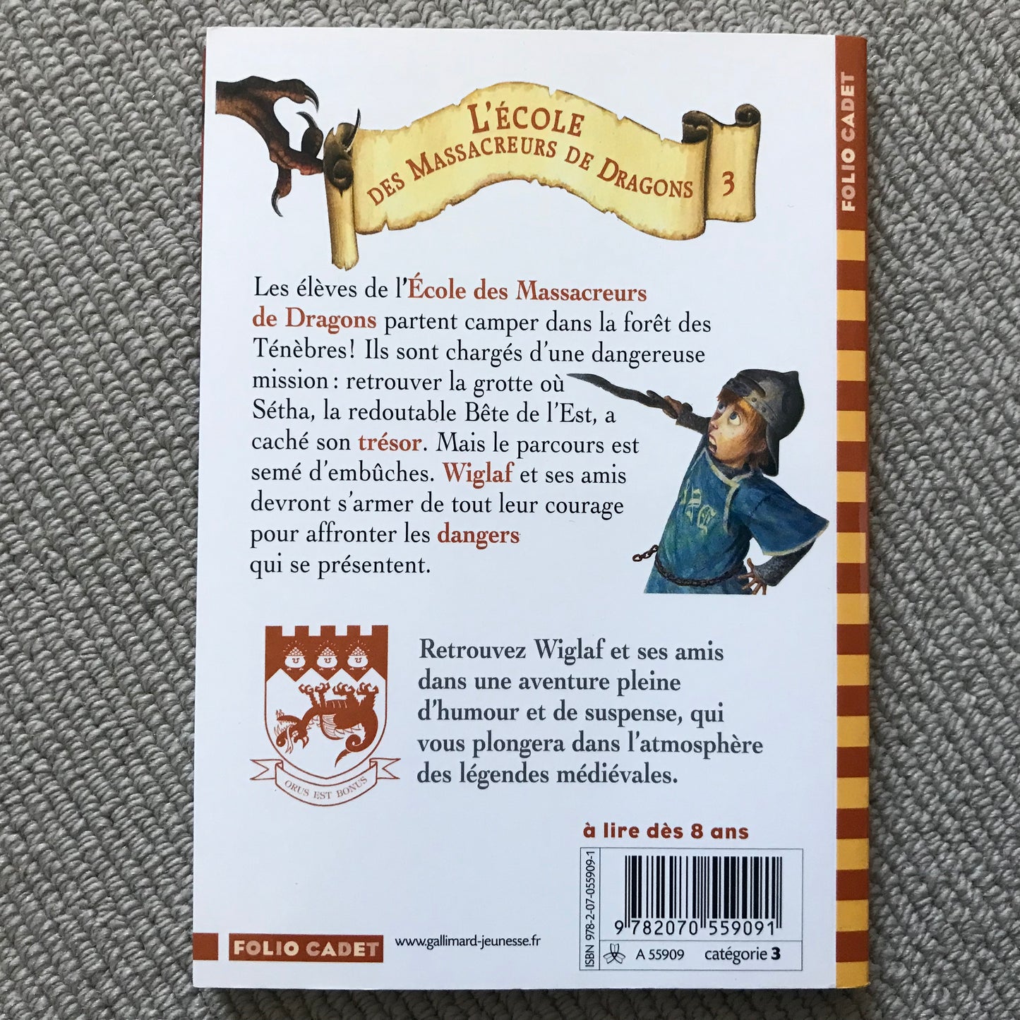 L’école des massacreurs de dragons T03: La caverne maudite - McMullan, Kate