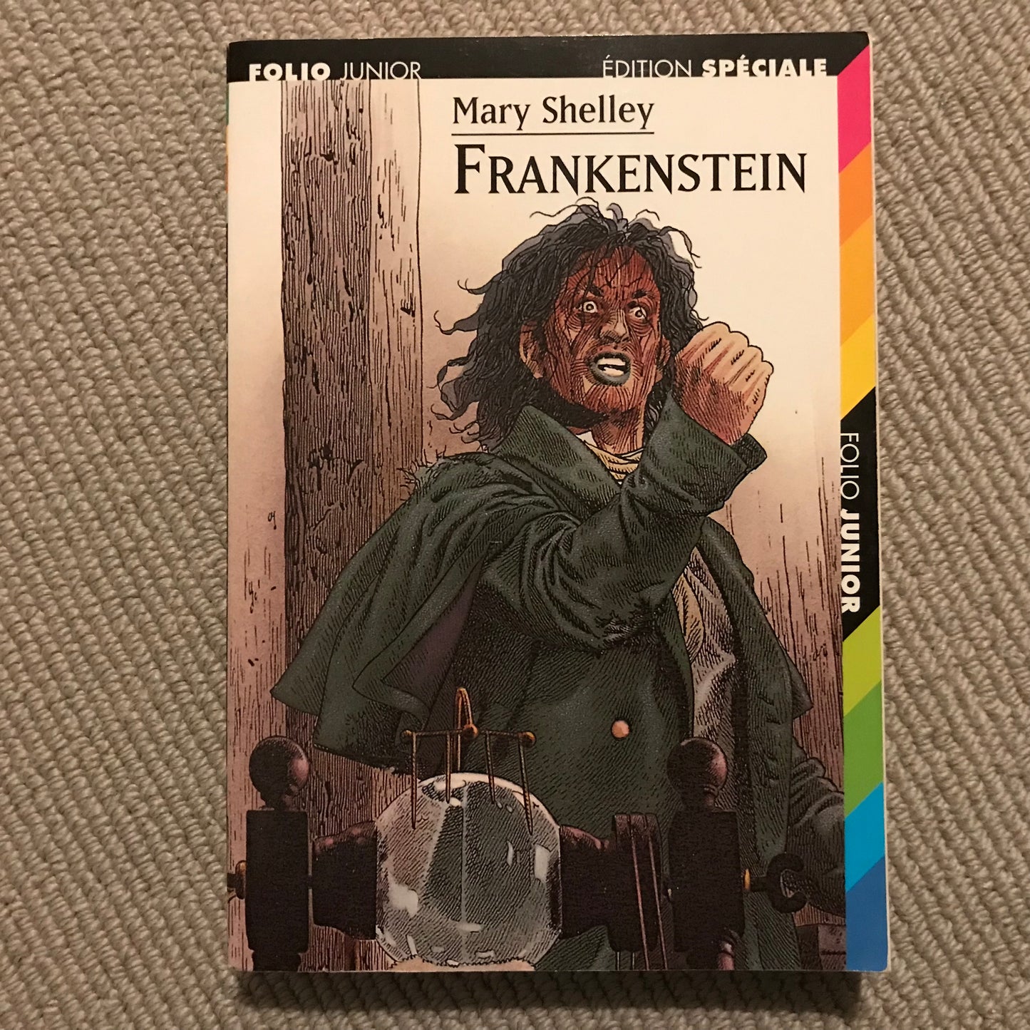 Shelley, Mary - Frankenstein