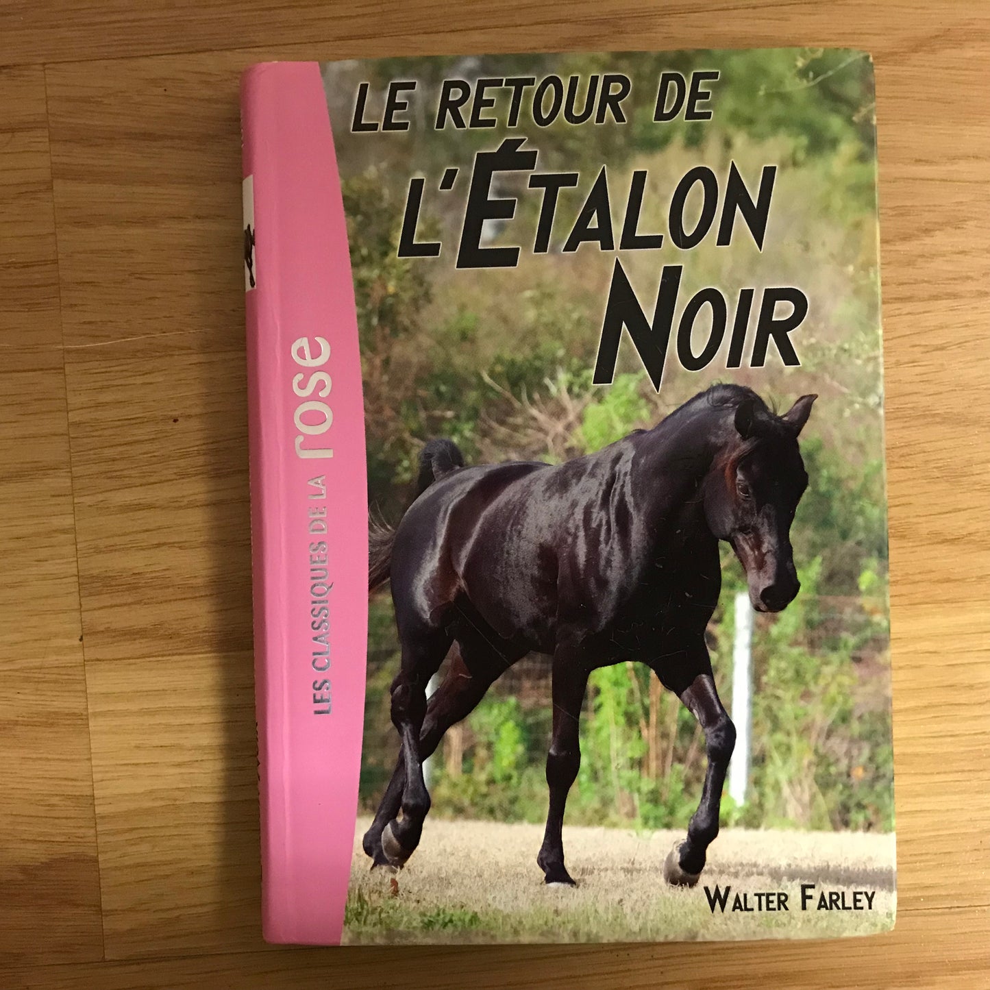 L’étalon noir 2: Le retour de l’étalon noir - Walter Farley