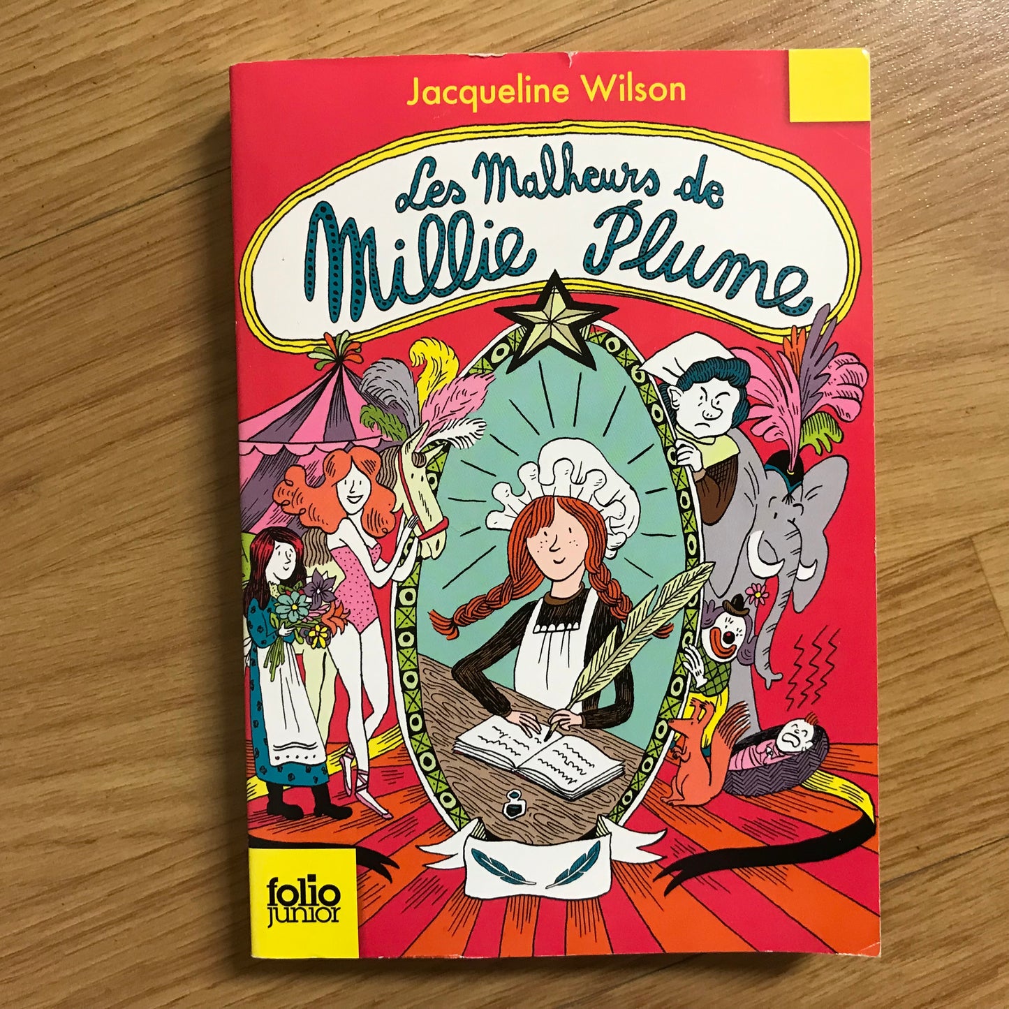Millie Plume, Les malheurs de Millie Plume - Wilson, Jacqueline
