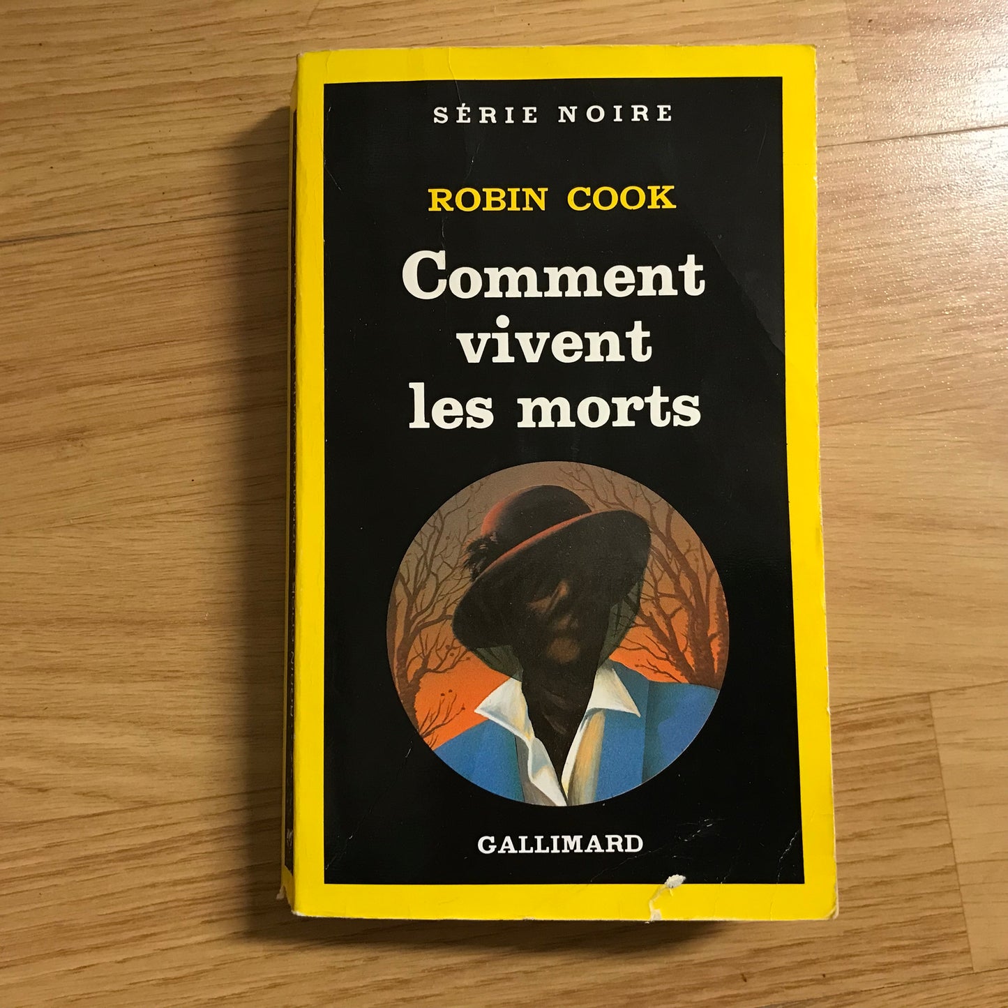 Cook, Robin - Comment vivent les morts