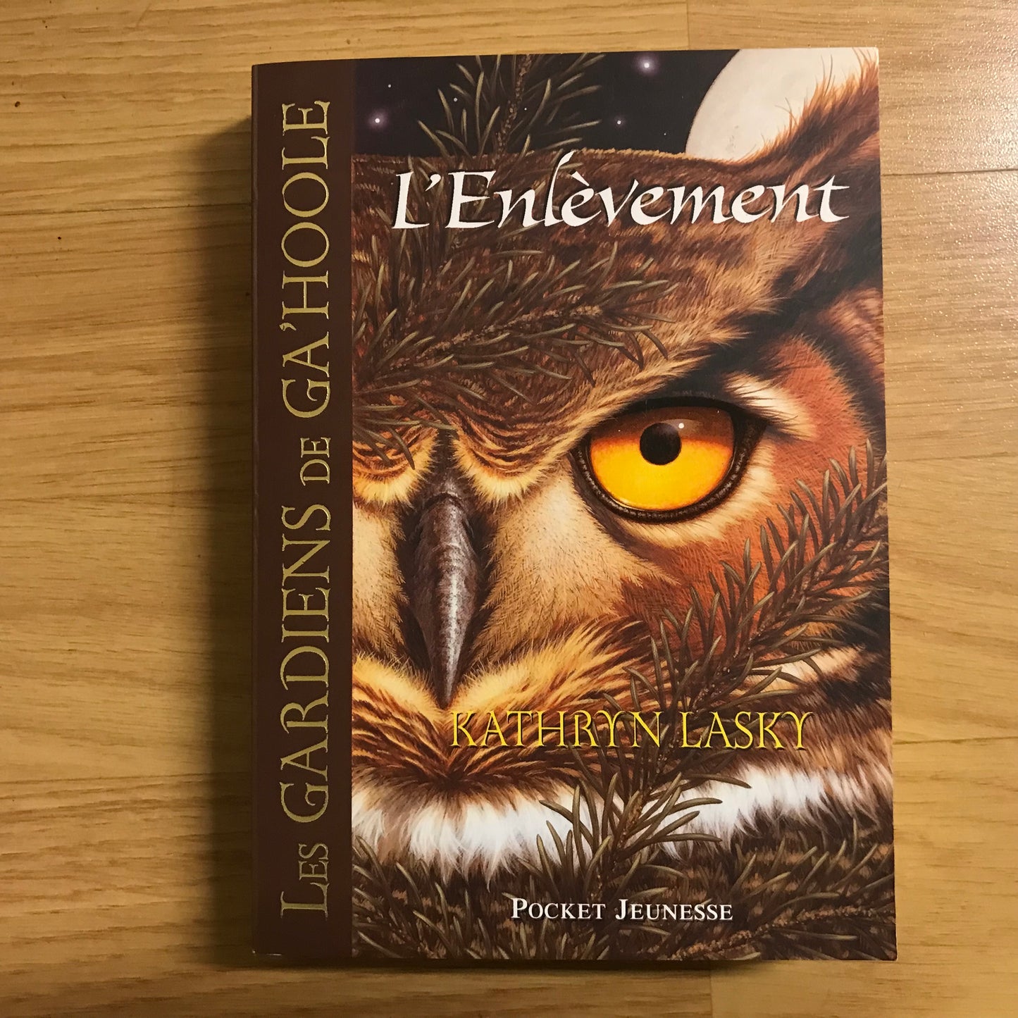 Les gardiens de Ga’Hoole T1: L’enlèvement - Kathryn Lasky
