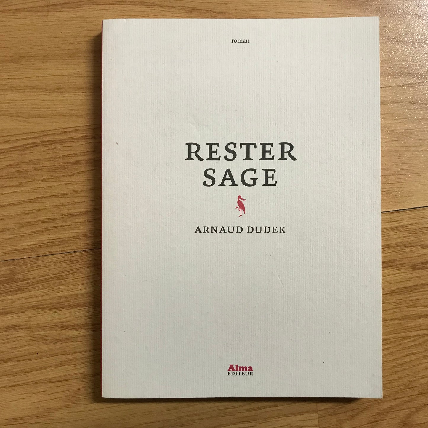 Dudek, Arnaud - Rester sage