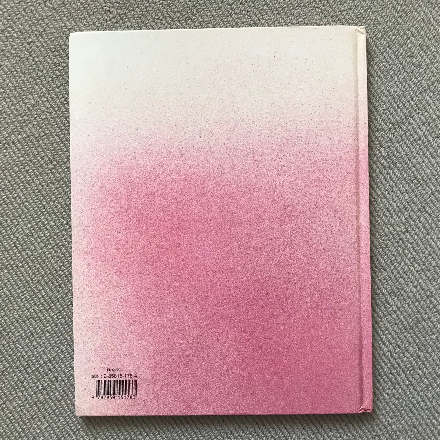 Les Bidochons, T13: La vie de mariage - Binet