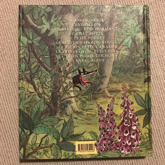 Mon premier Larousse des contes