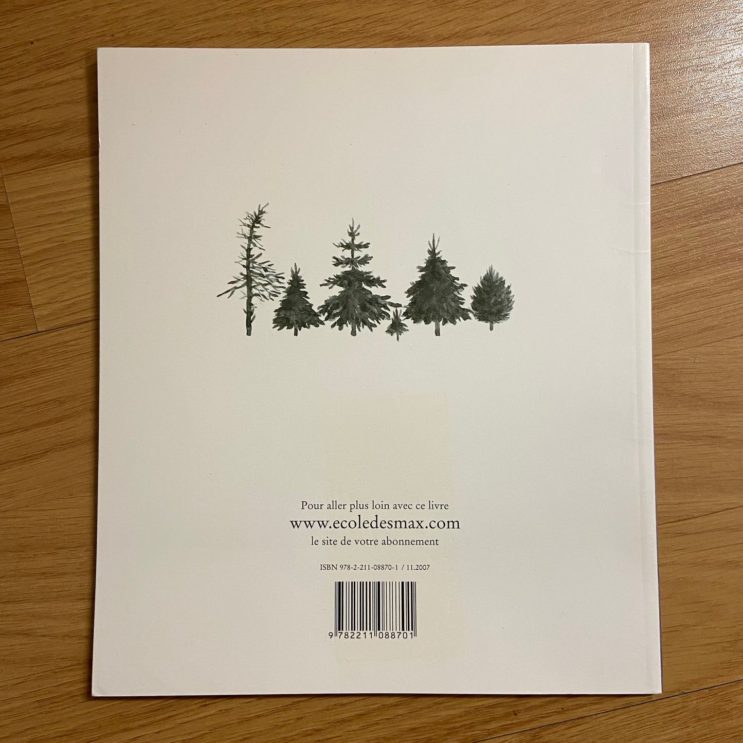 Ichikawa, Satomi - La robe de Noël