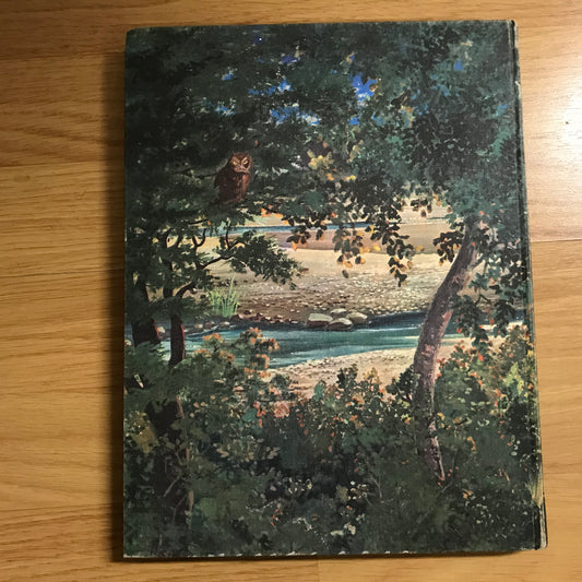 Bosco, Henri - Le renard dans l’île