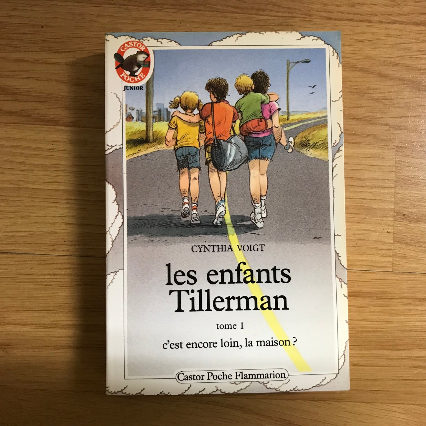 Les enfants de Tillerman 1: C’est encore loin, la maison? - C. Voigt