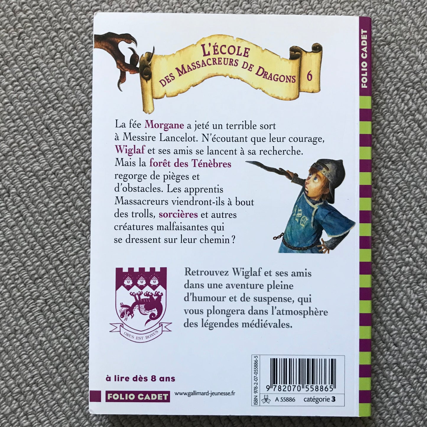L’école des massacreurs de dragons T06: Il faut sauver Messire Lancelot - McMullan, Kate