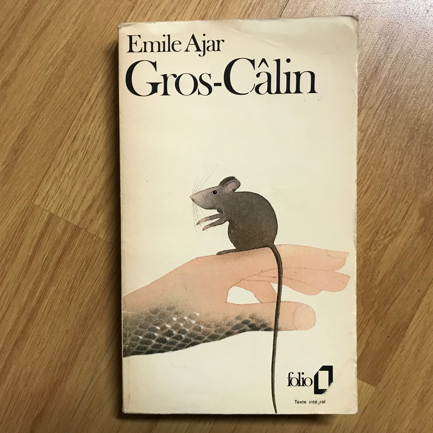 Ajar, Emile - Gros-Câlin