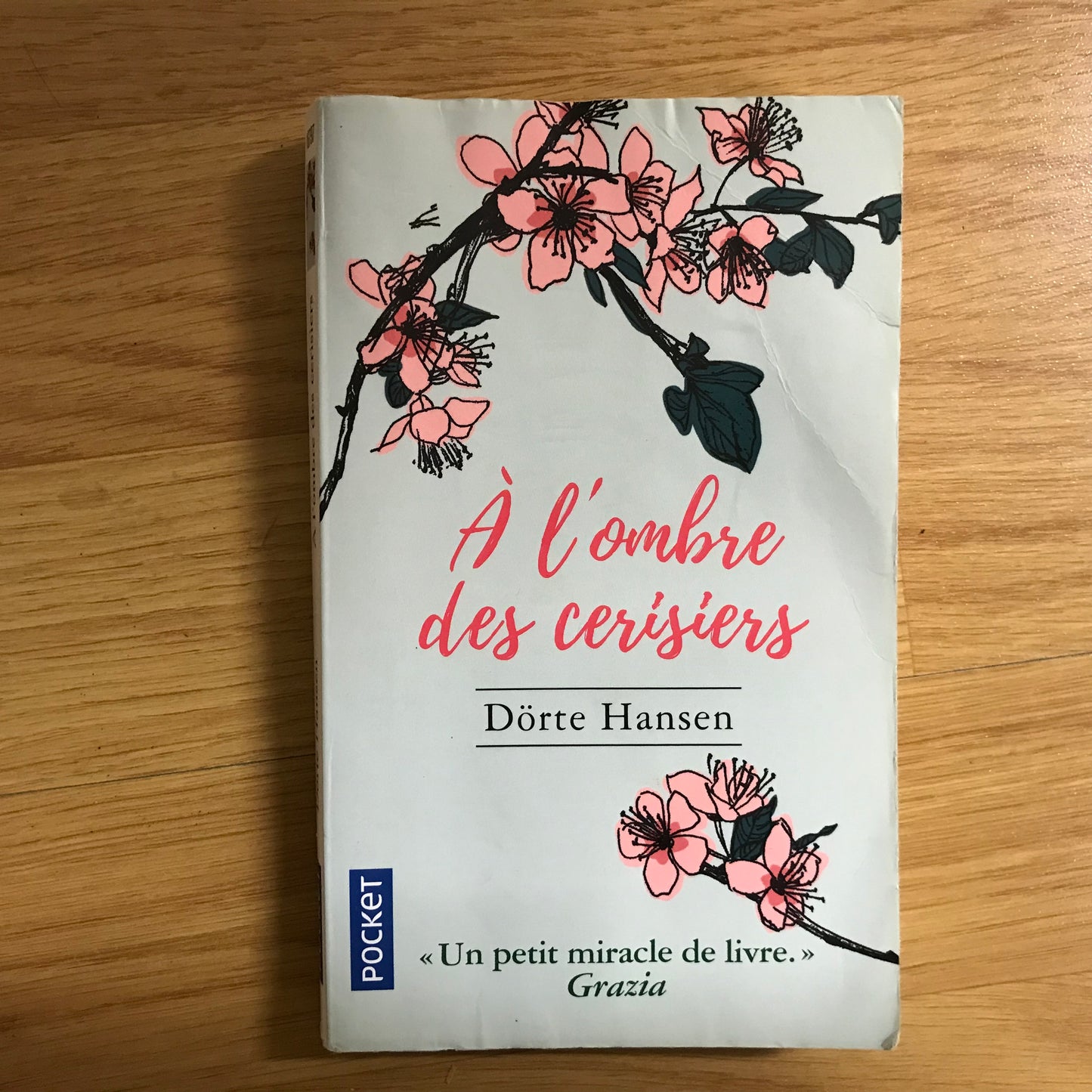 Hansen, Dörte - A l’ombre des cerisiers