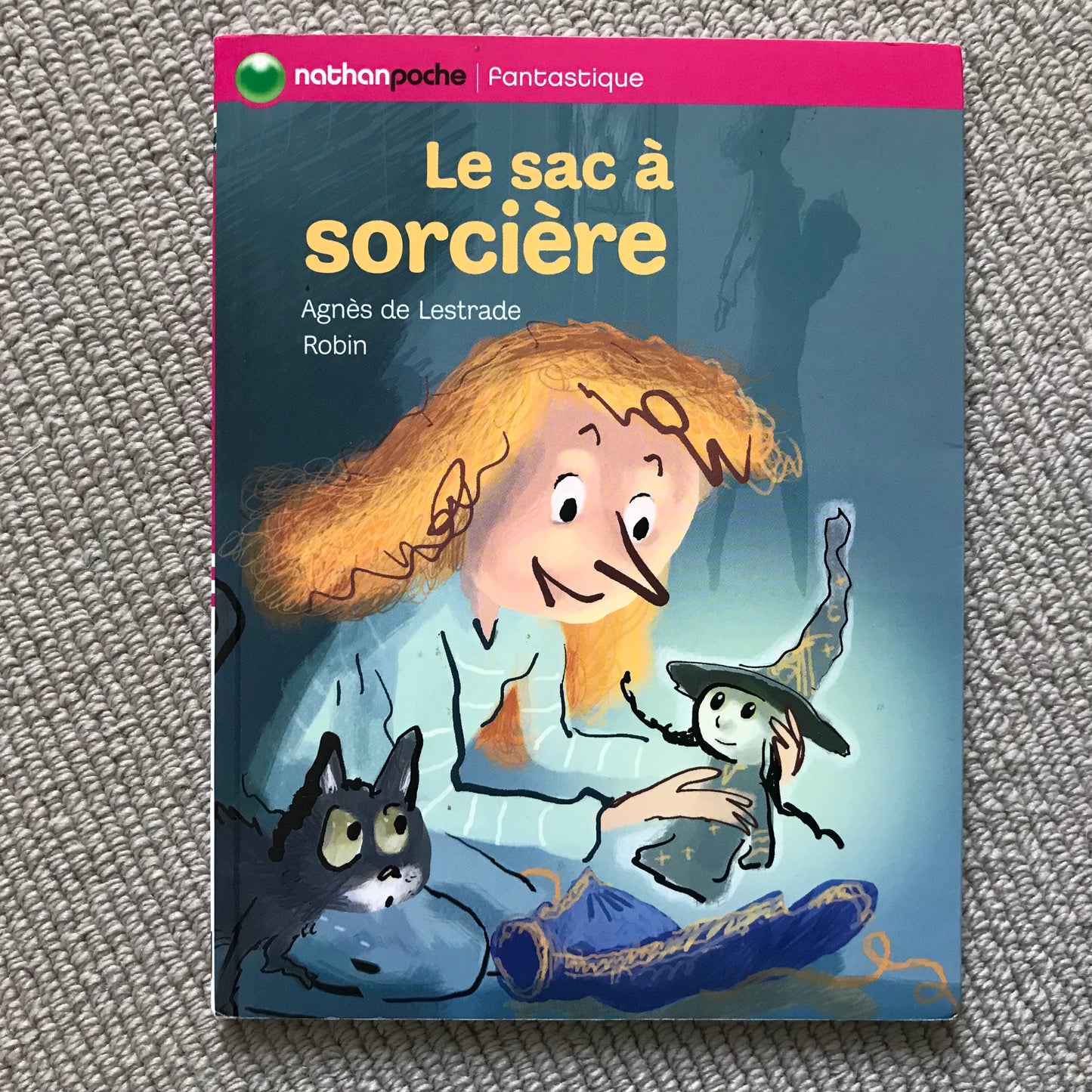 Le sac à sorcière - A. De Lestrade