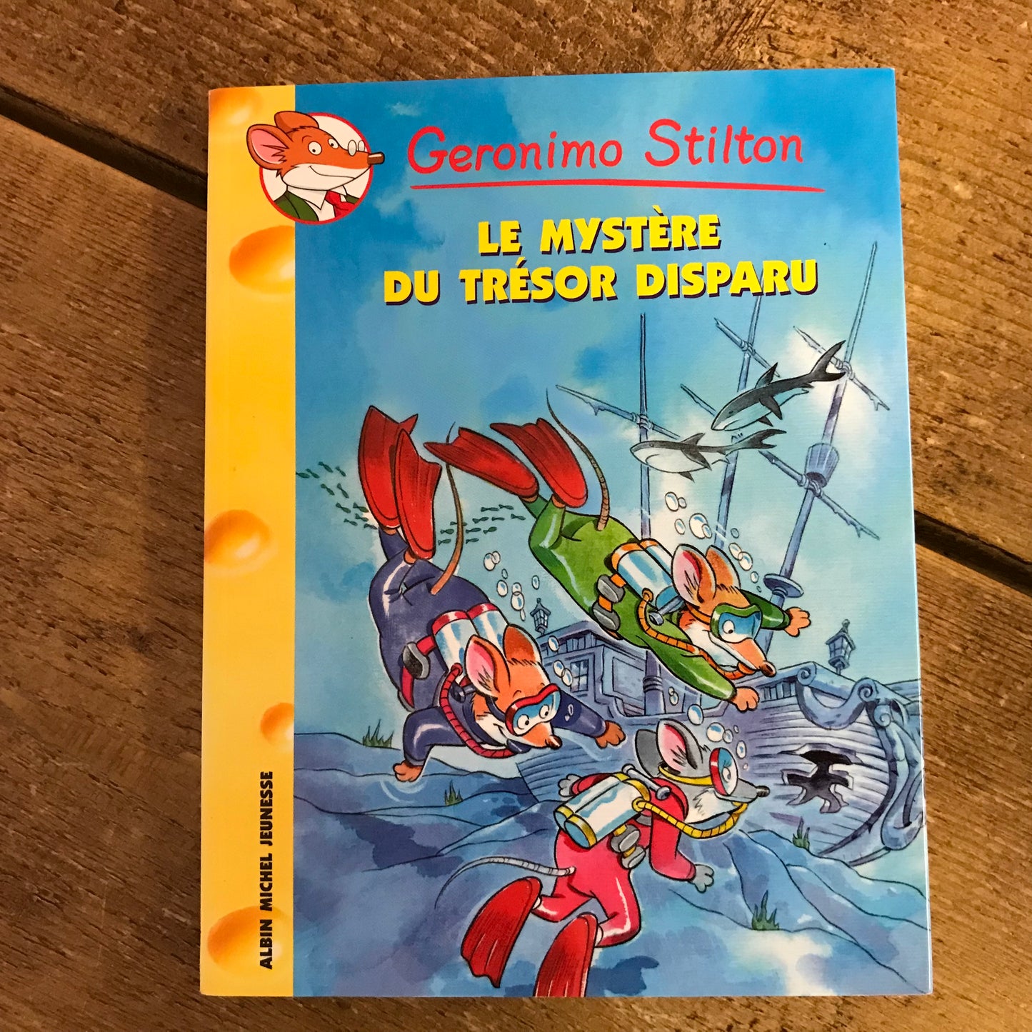 Geronimo Stilton 19: Le mystère du trésor disparu