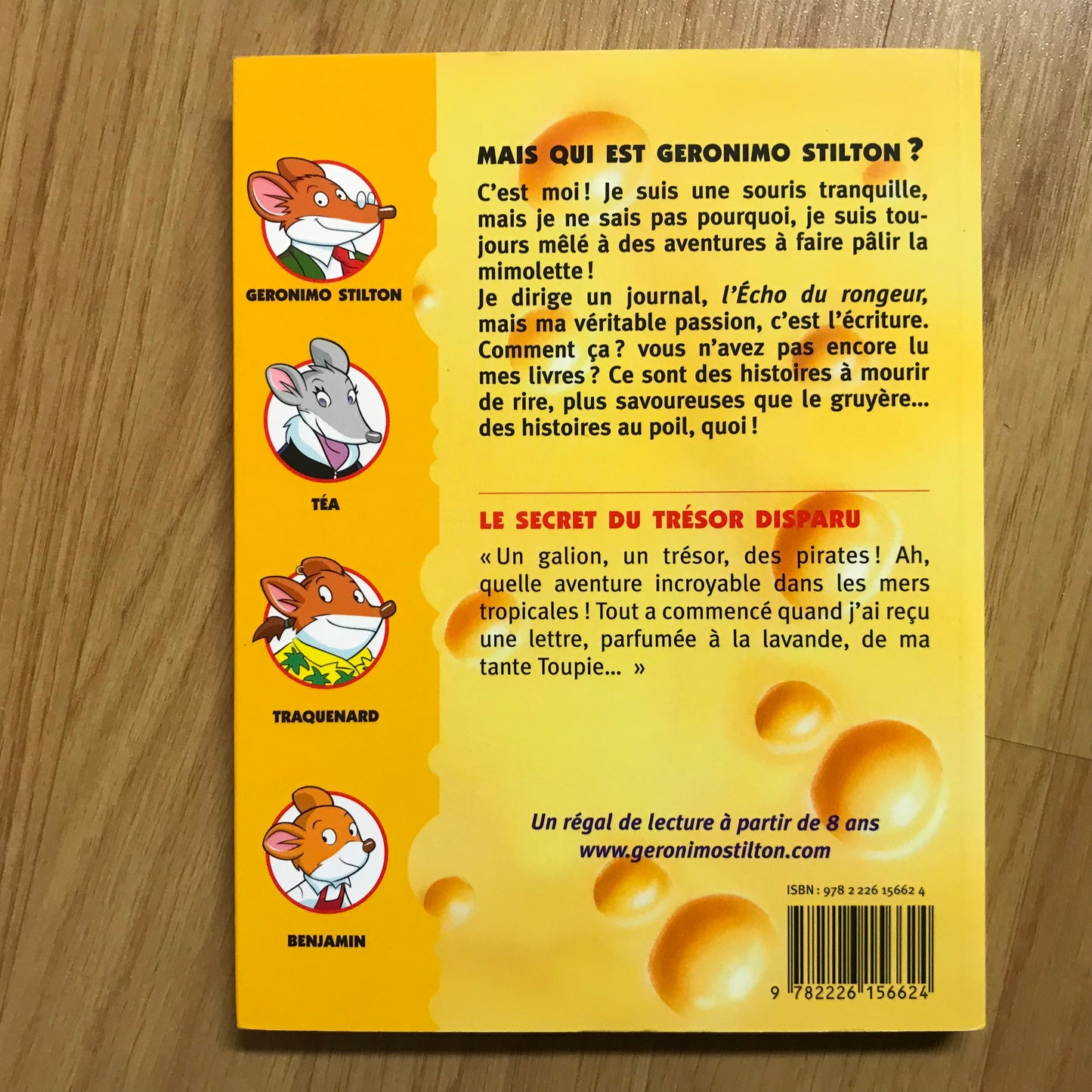 Geronimo Stilton 19: Le mystère du trésor disparu