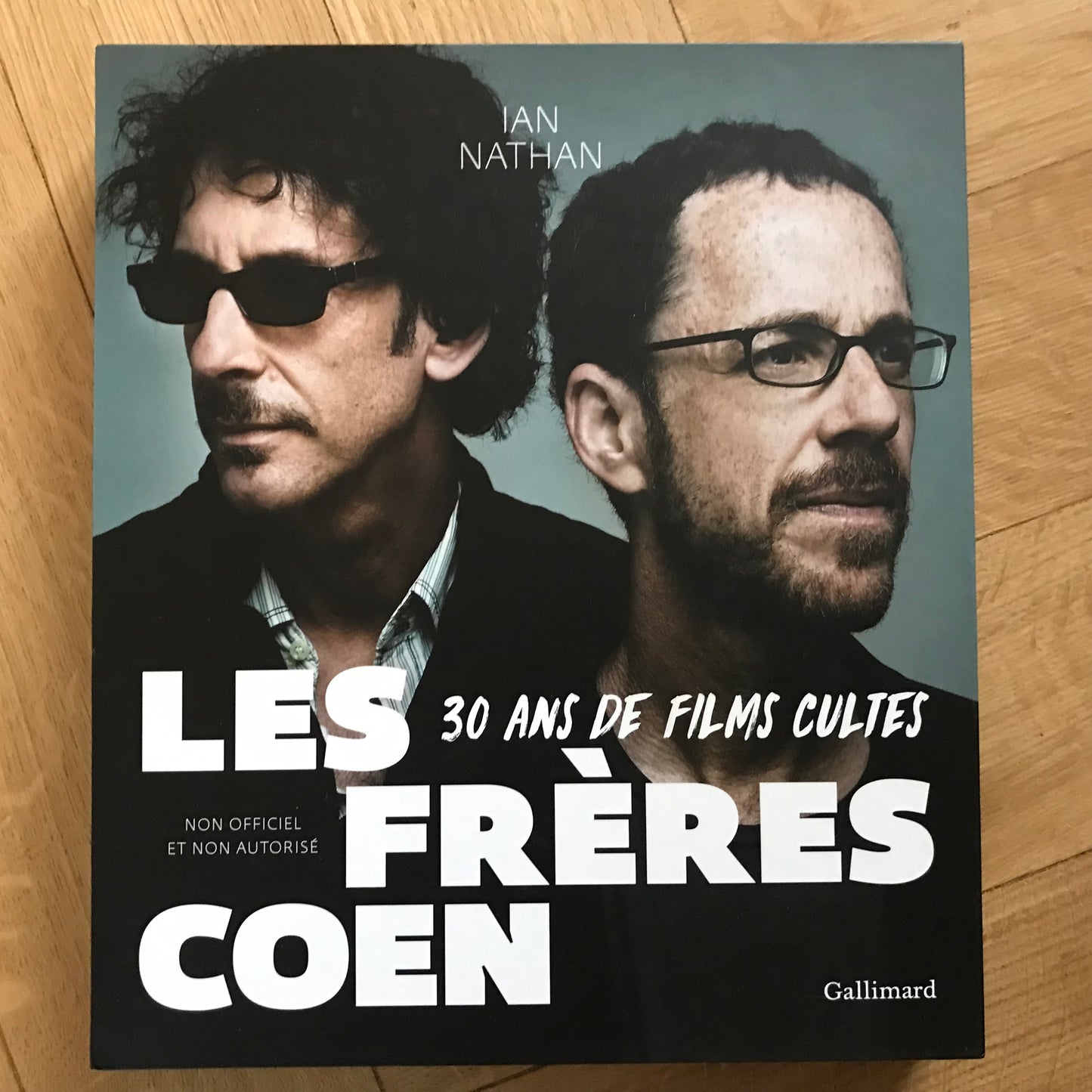 Nathan, Ian - Les frères Cohen