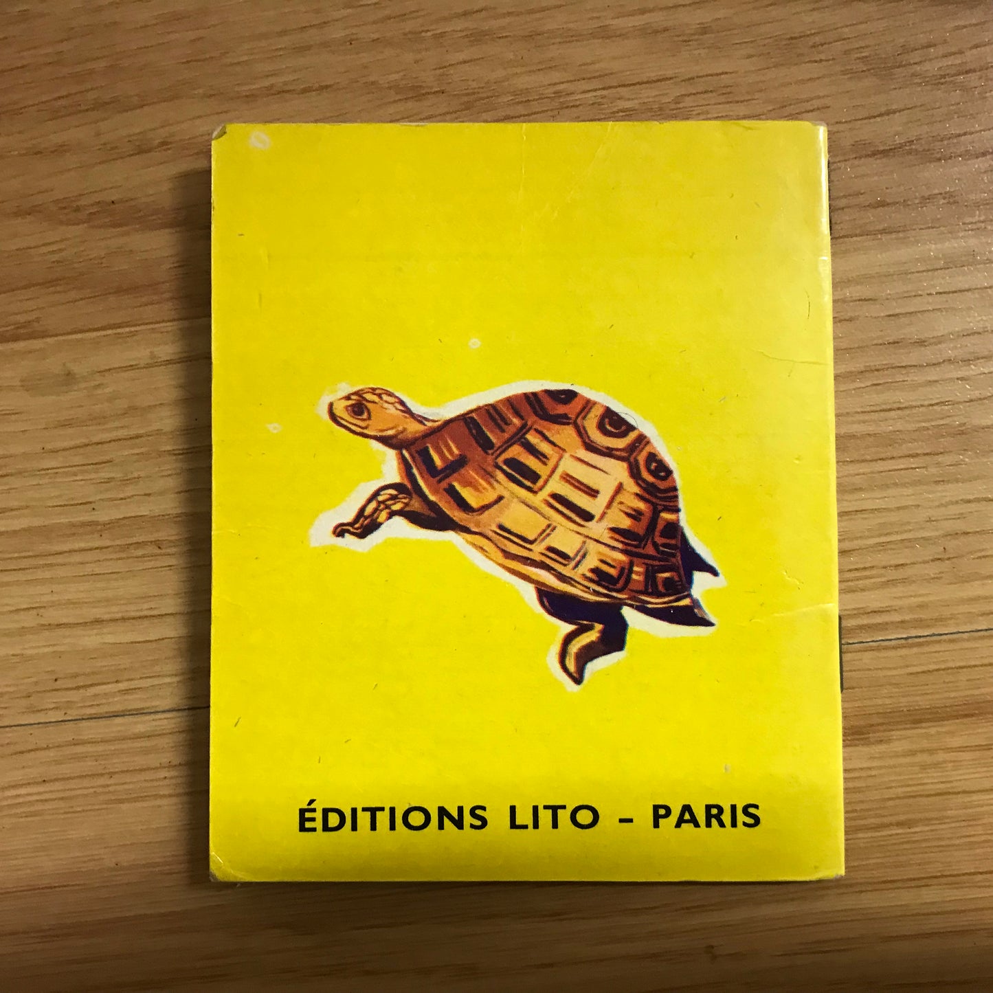 Sammie la tortue