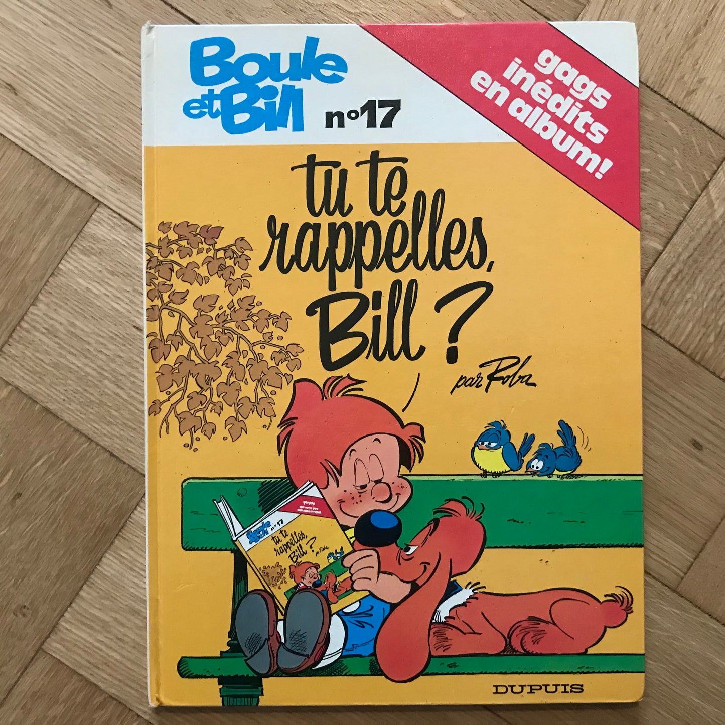 Boule et Bill T17, Tu te rappelles, Bill ? - Roba