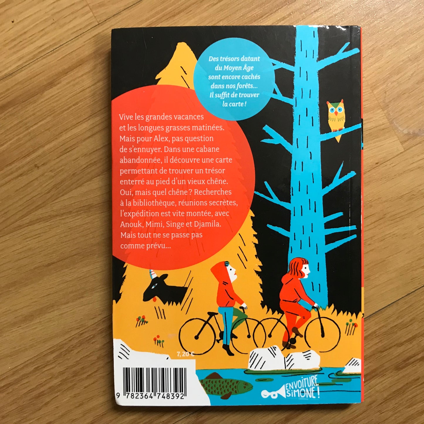 Mathis - Le trésor du lac des trois chats