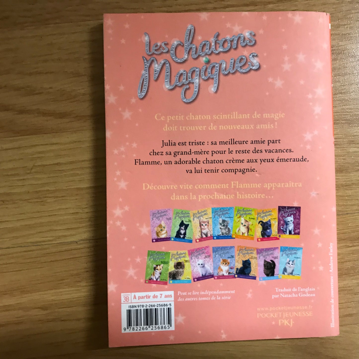 Les chatons magiques, Sur un air de vacances - Sue Bentley