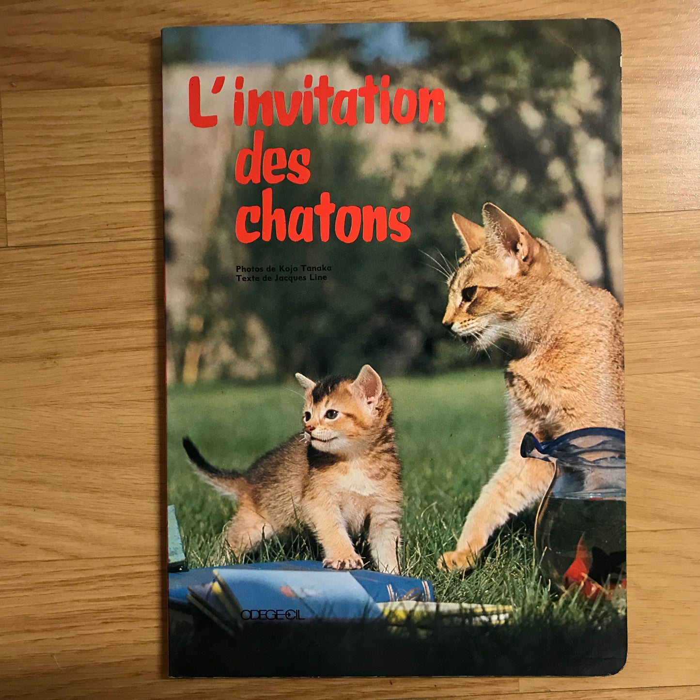 Line, Jacques - L’invitation des chatons