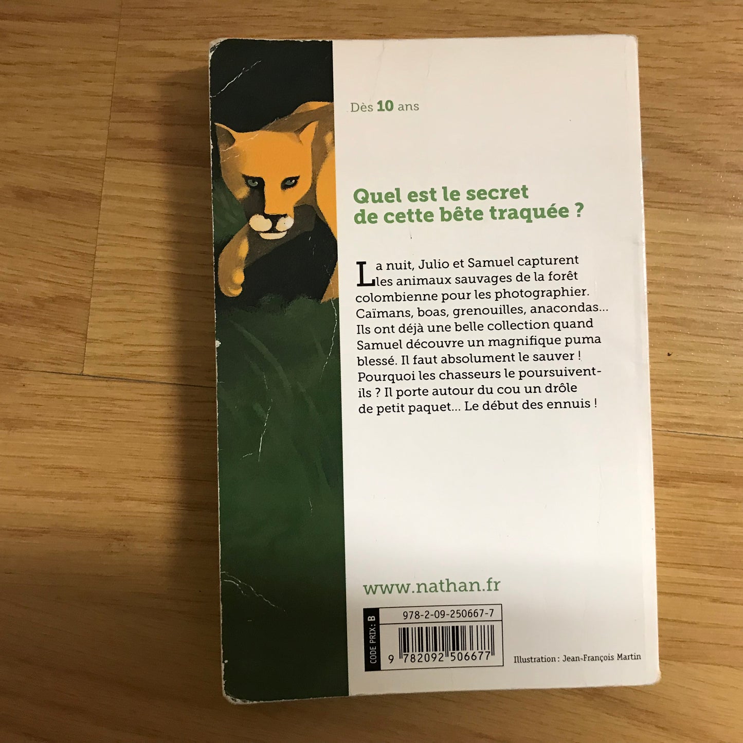 Clément, Yves-Marie - Le puma aux yeux d’émeraude