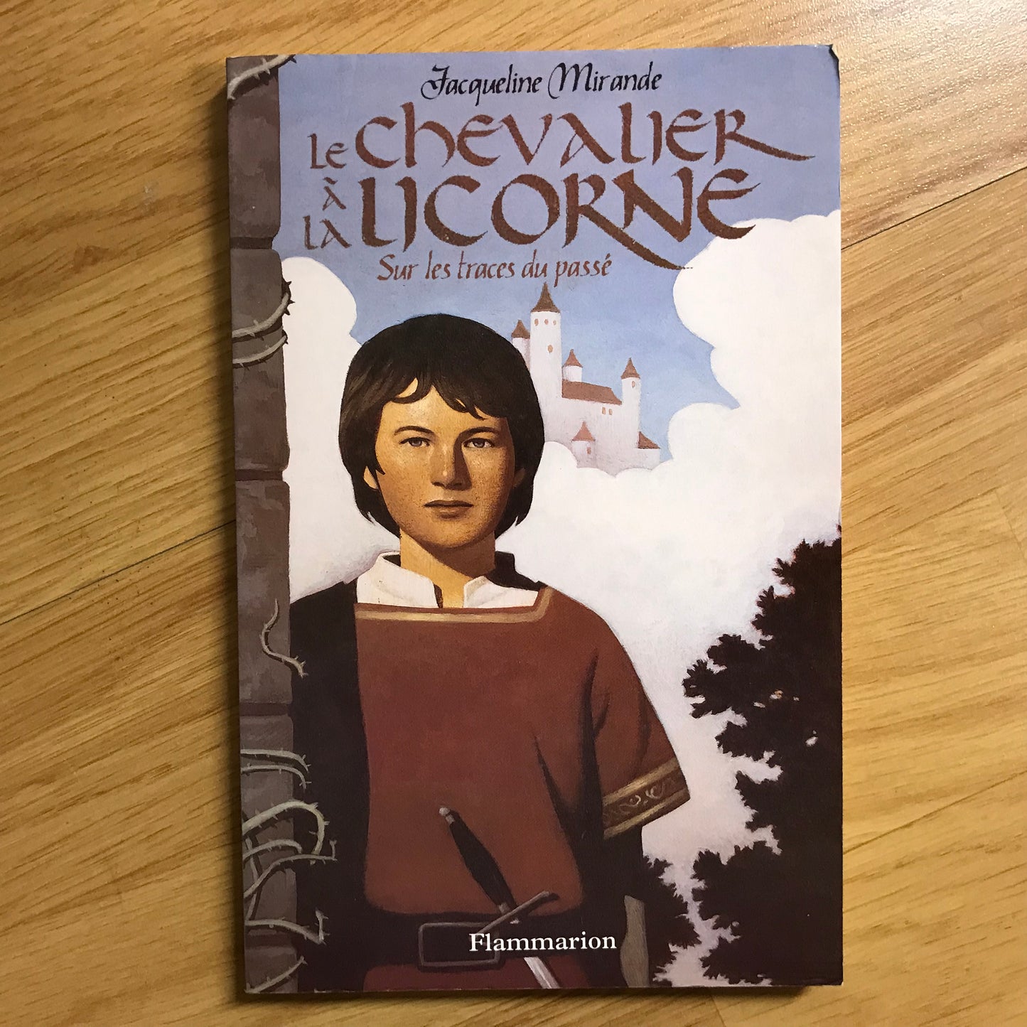 Le chevalier à la licorne, Sur les traces du passé - Mirande, J.