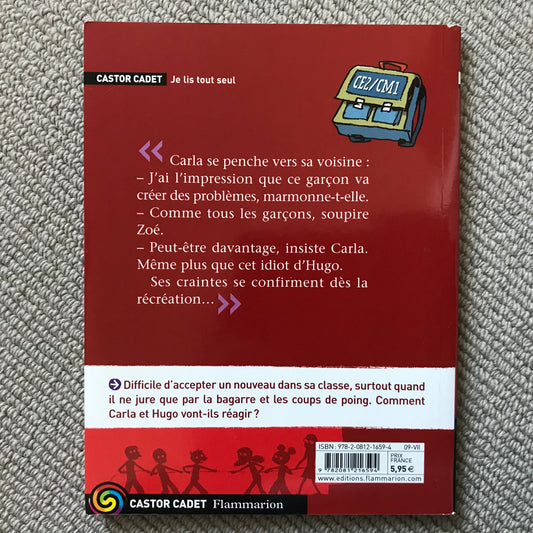 Bagarres à l’école - Cantin, M. & Gasté, E.