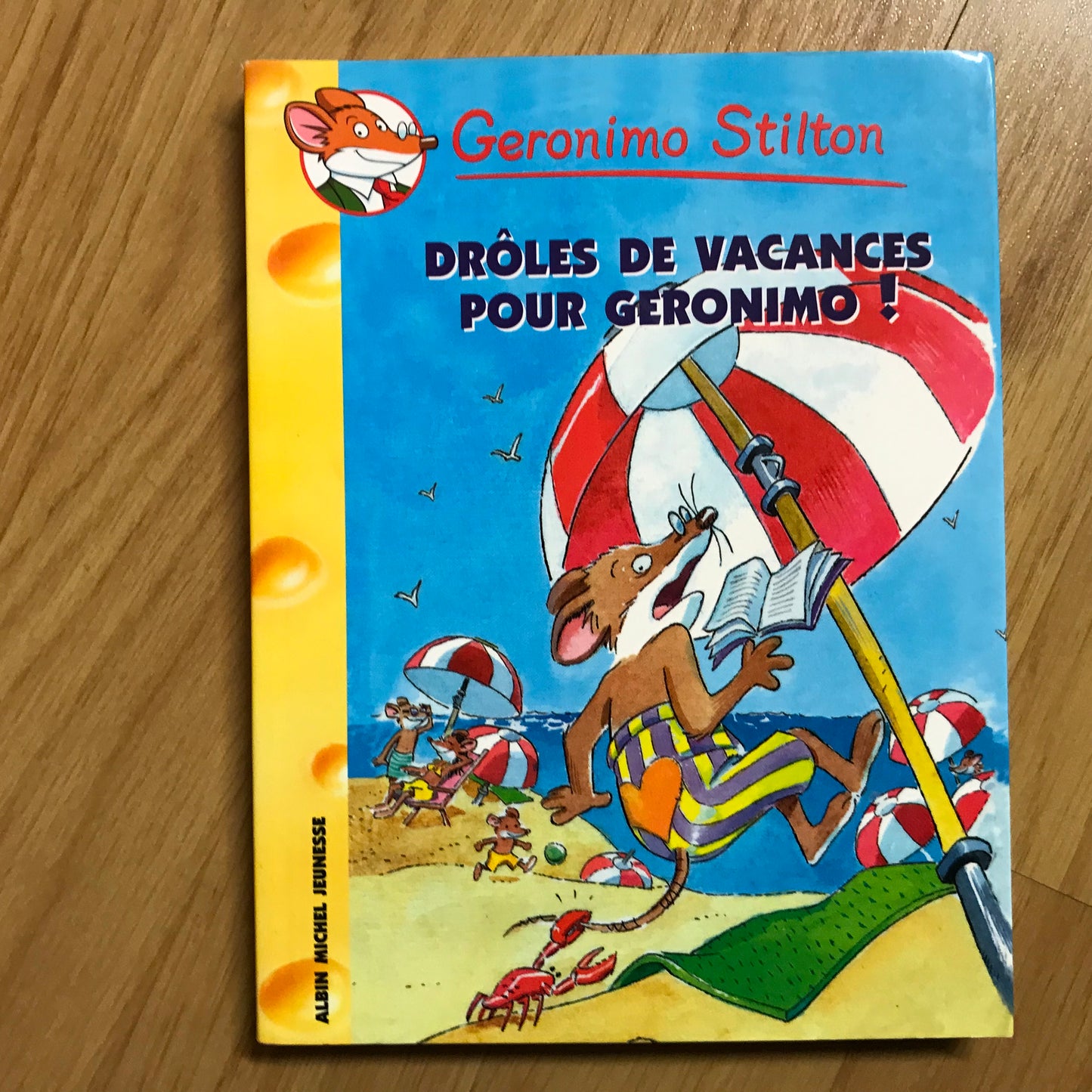 Geronimo Stilton 20: Drôles de vacances pour Geronimo !