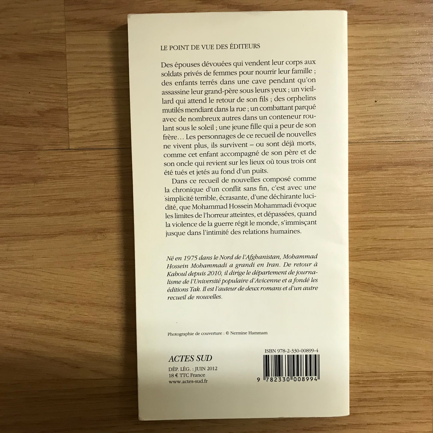 Hossein Mohammadi, Mohammad - Les figures rouges de Mazâr