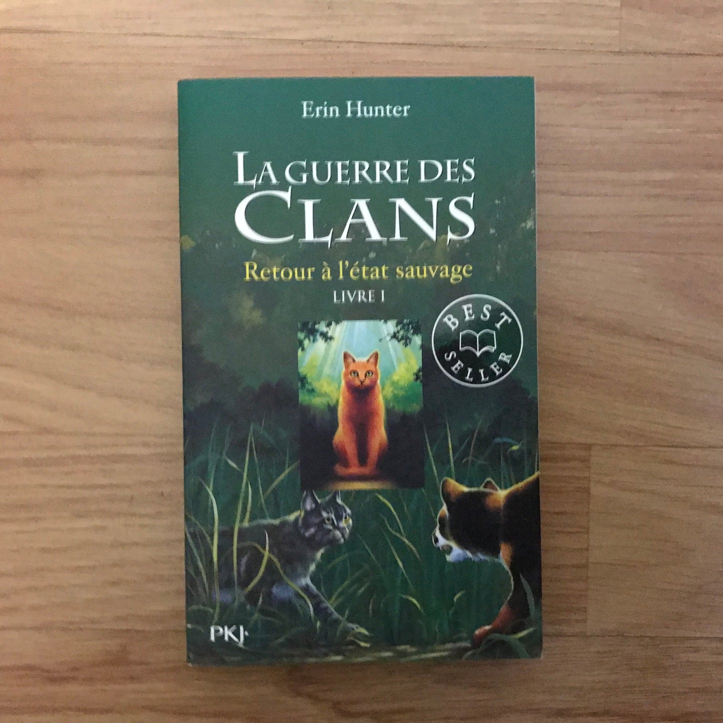 La guerre des clans Cycle 1 Livre 1, Retour à l’état sauvage - Erin Hunter