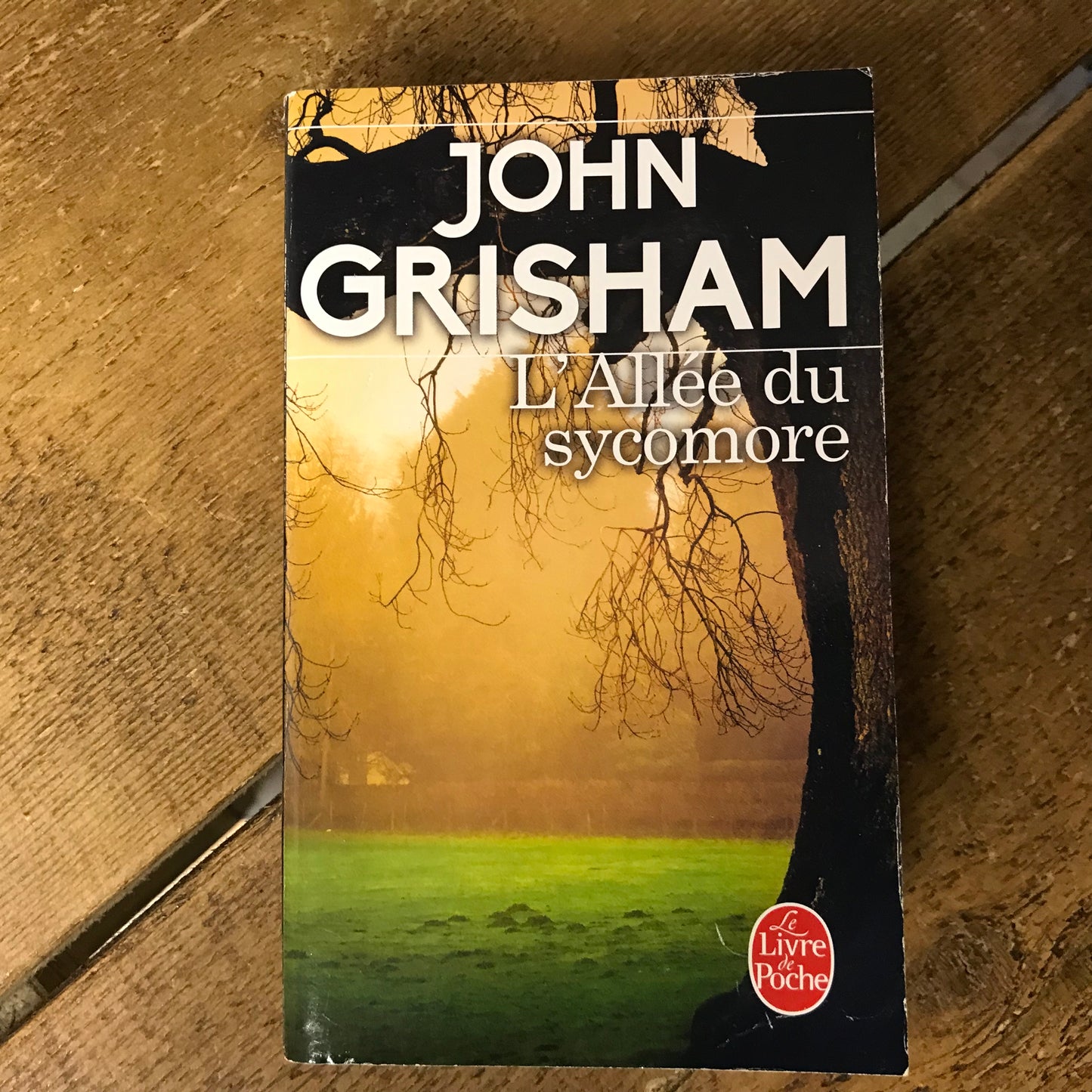 Grisham, John - L’allée du Sycomore