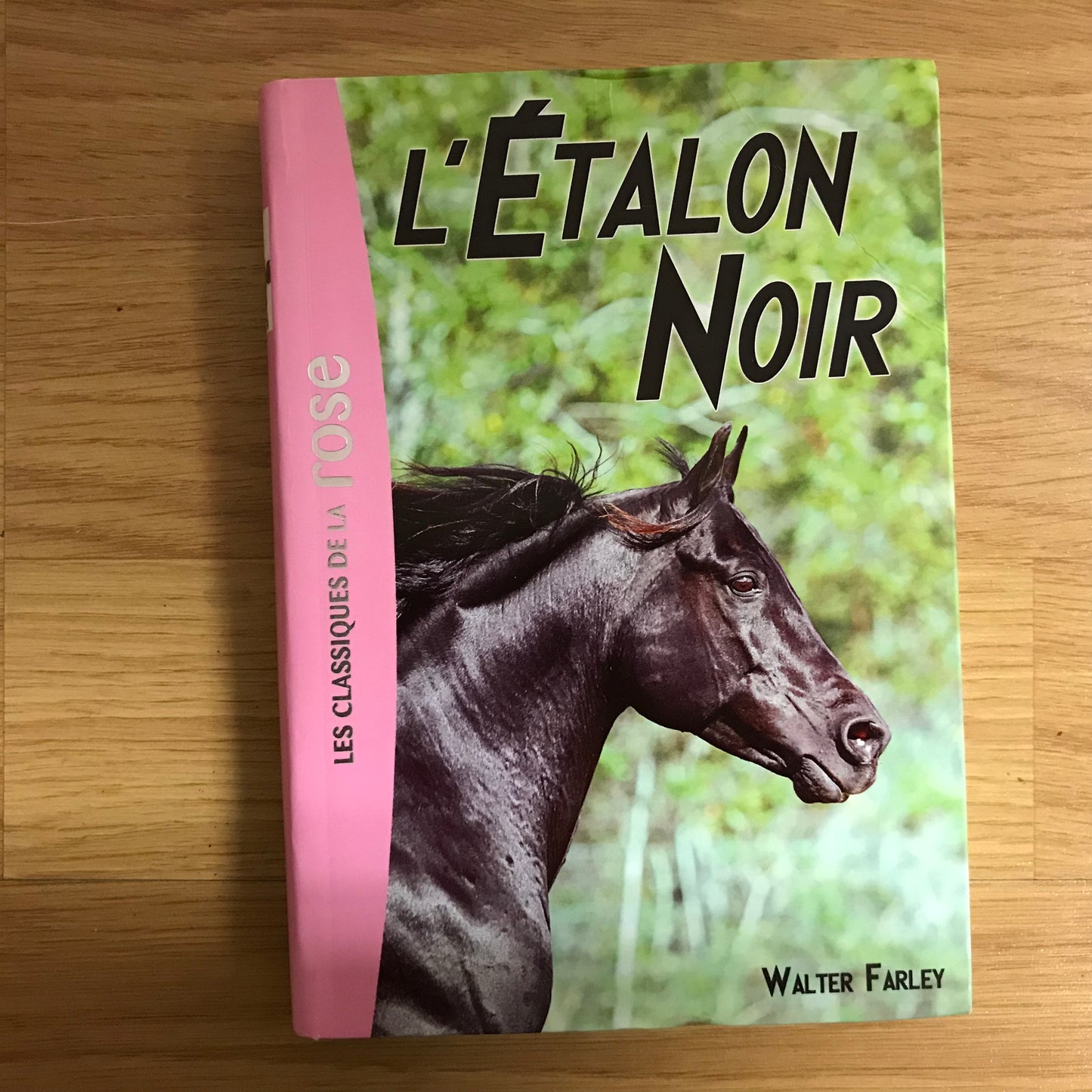 L’étalon noir 1: L’étalon noir - Walter Farley