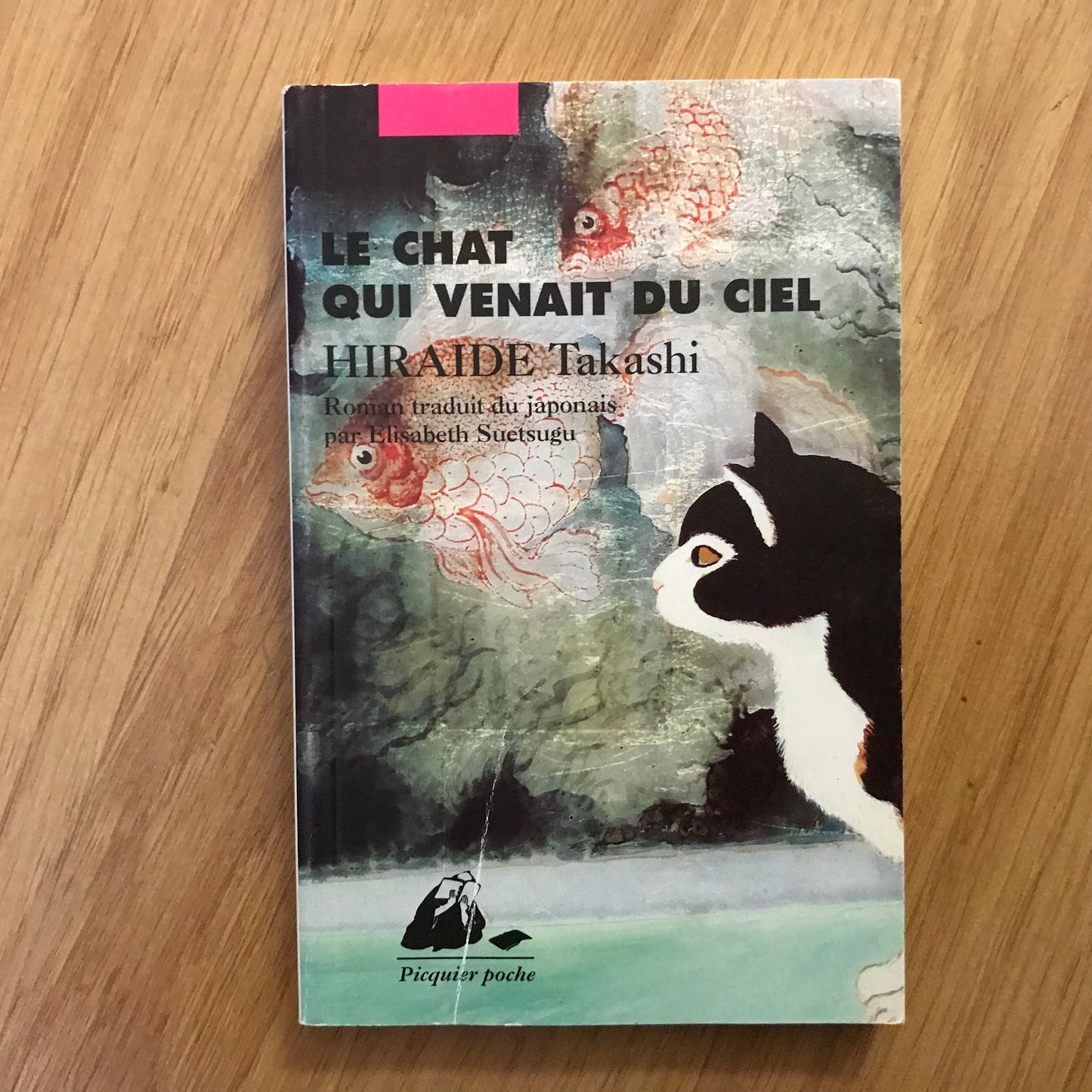 Hiraide, Takashi - Le chat qui venait du ciel