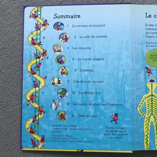 La tête (Fenêtre sur) - Pop up book