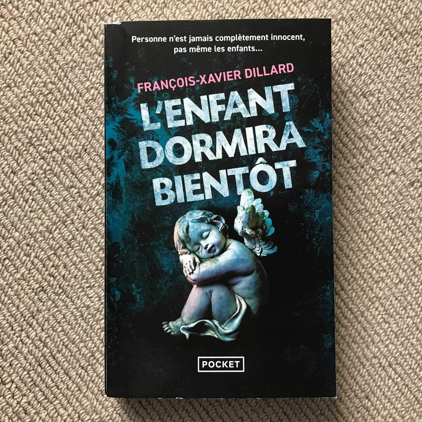 Dillard, François-Xavier - L’enfant dormira bientôt