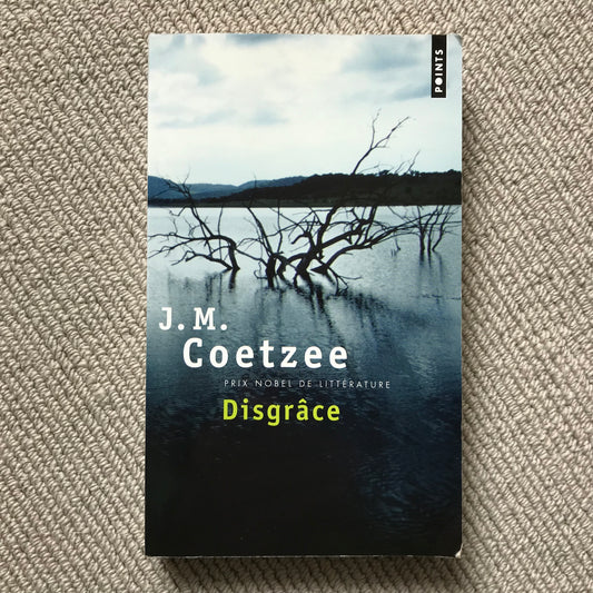 Coetzee, J. M. - Disgrâce
