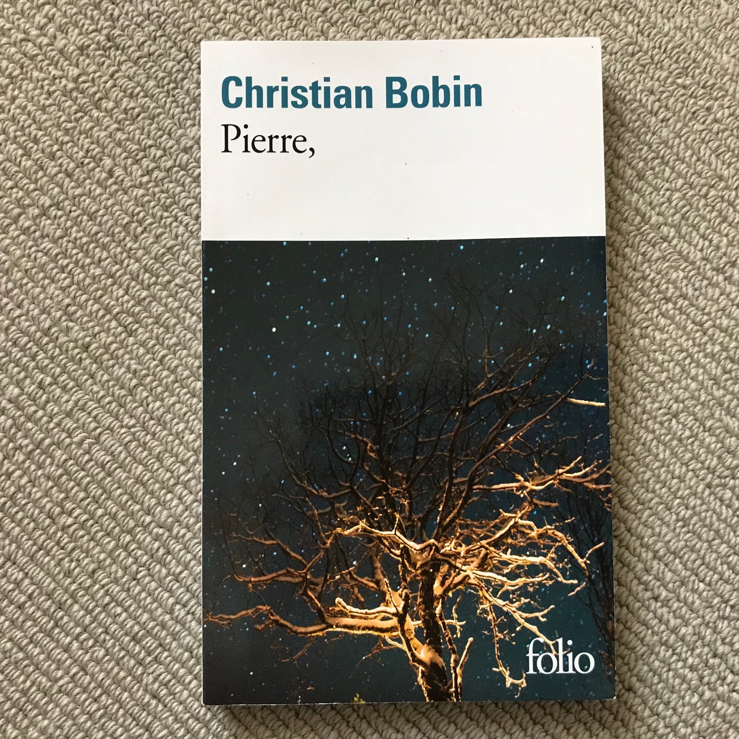 Bobin, Christian - Pierre,