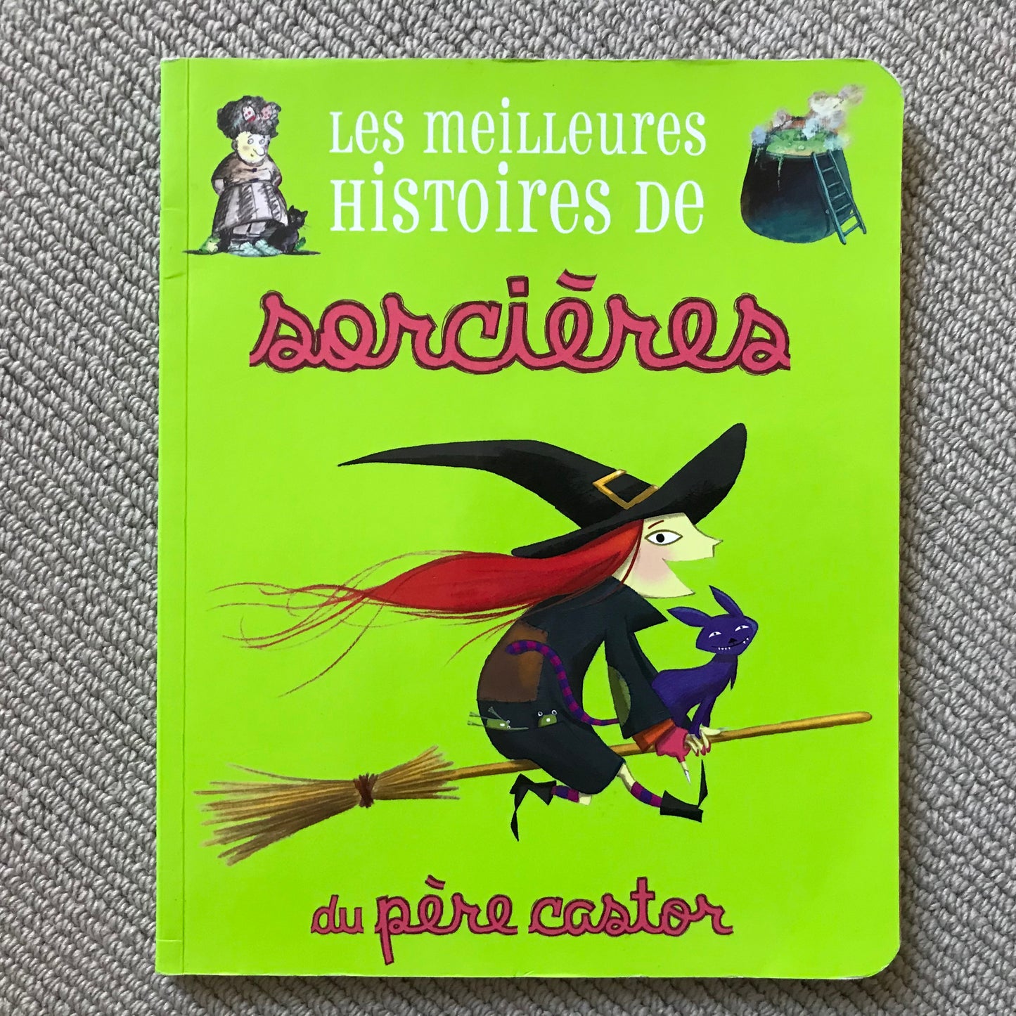 Les meilleures histoires de sorcières du père castor