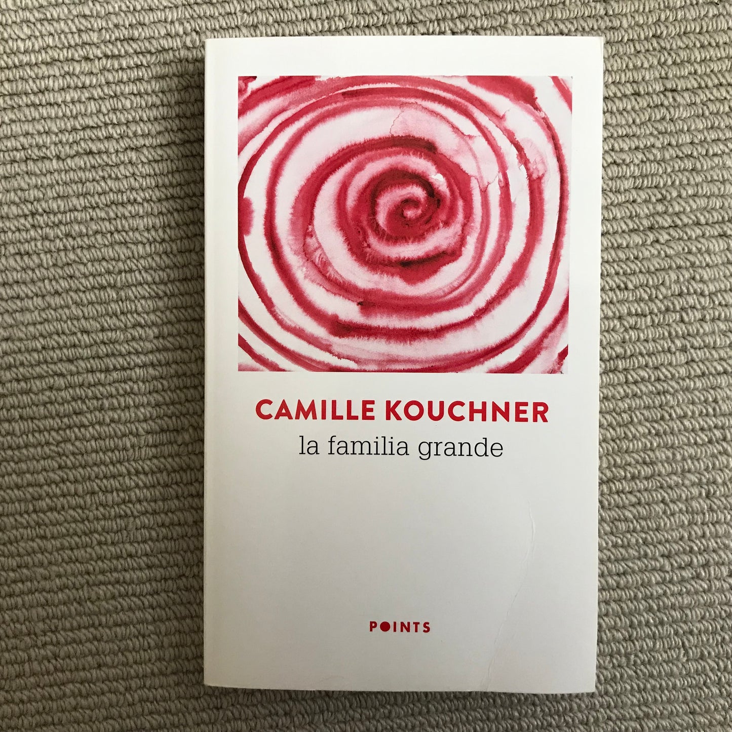 Kouchner, Camille - La familia grande