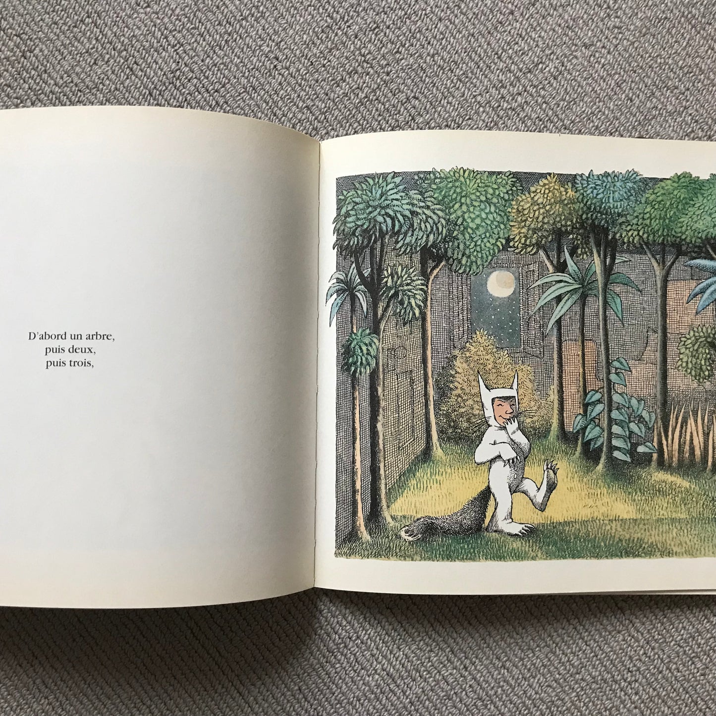 Max et les maximonstres - Maurice Sendak