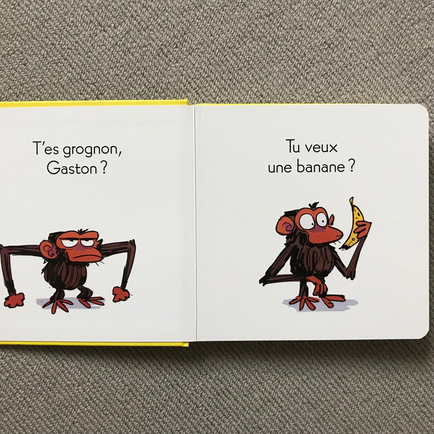 T’es grognon, Gaston? S. Lang & M. Lang