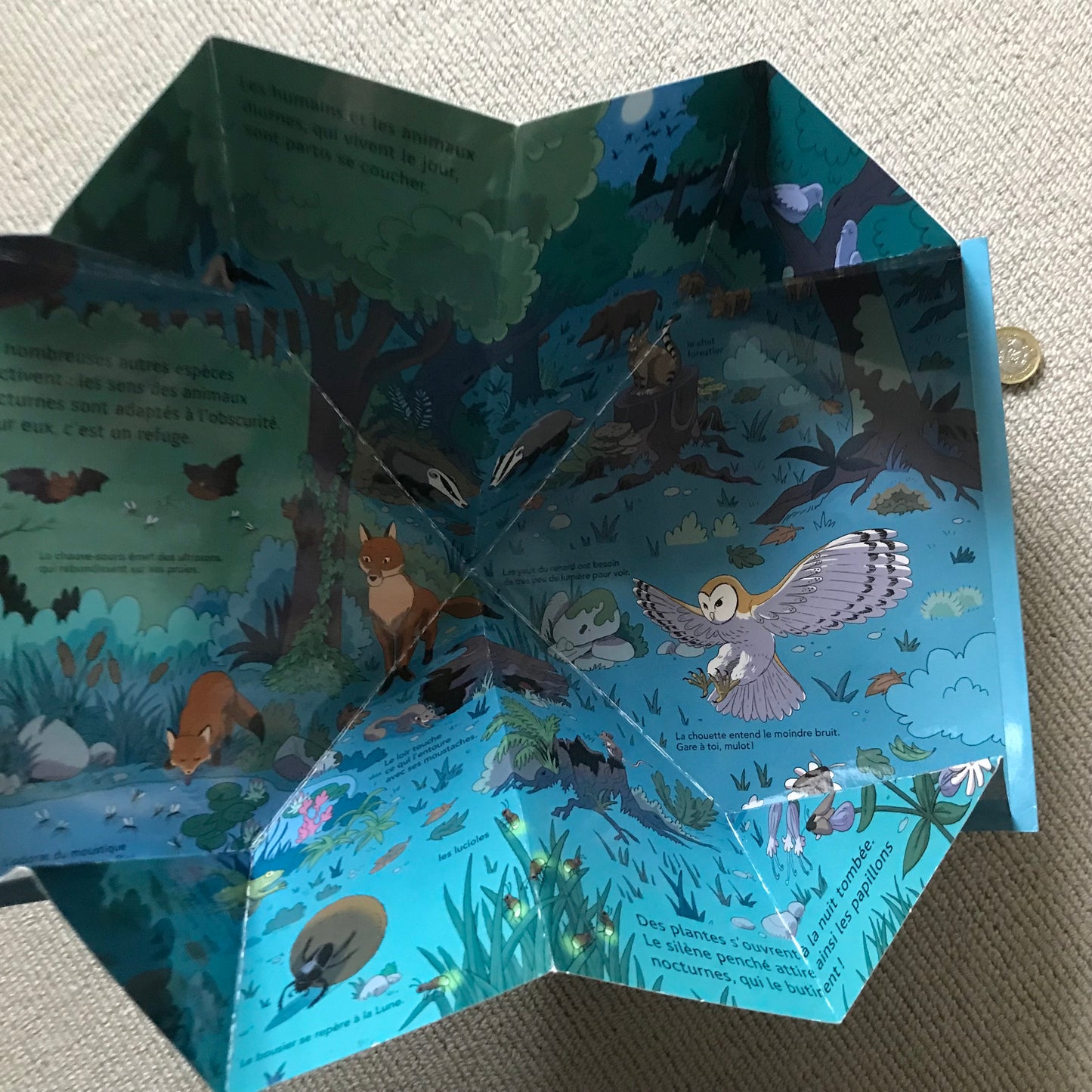 La nuit - Mes docs animés (pop up book)