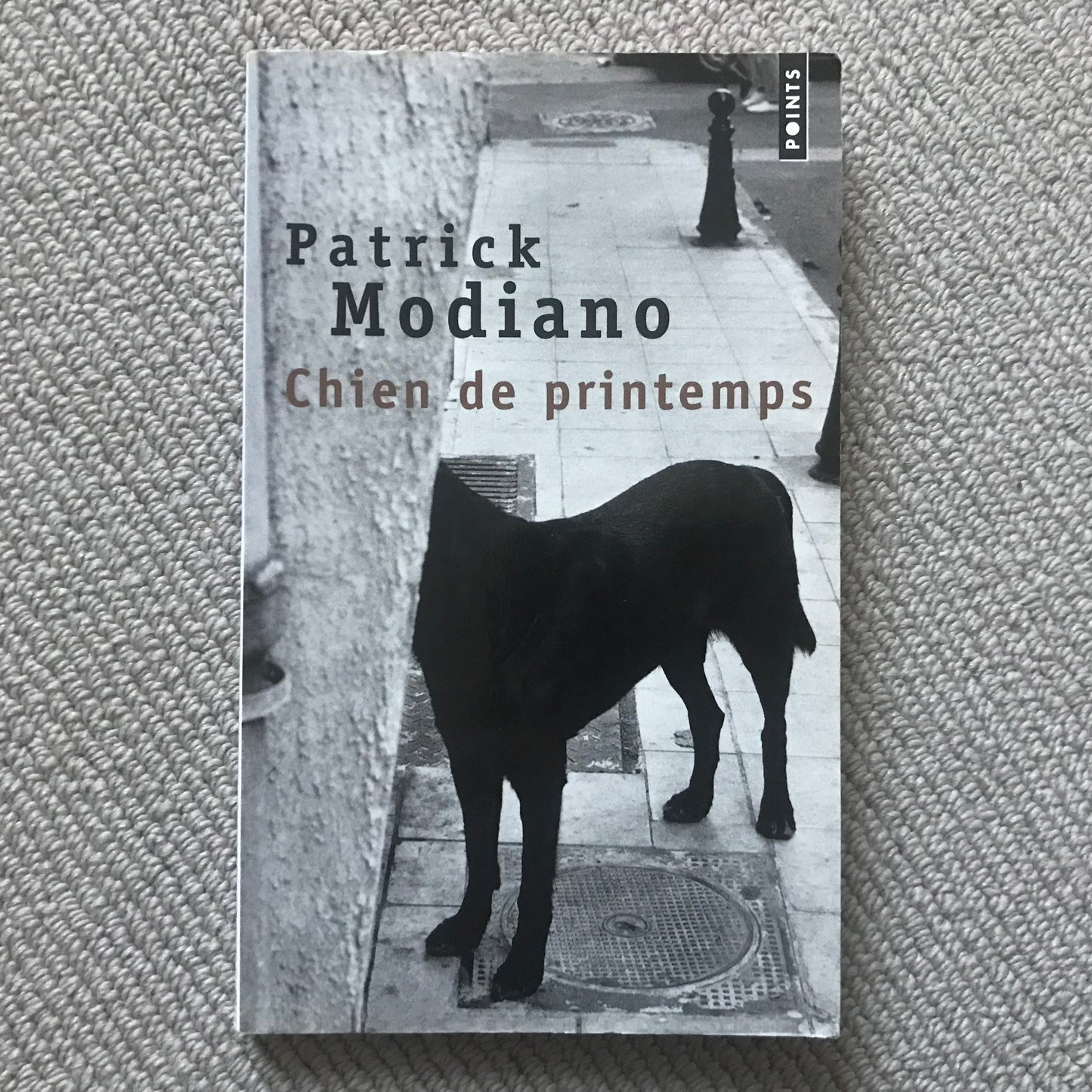 Modiano, Patrick - Chien de printemps